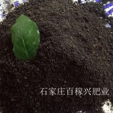 产品图80