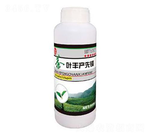 茶叶丰产先锋 泰玉肥业