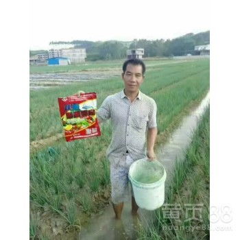 【为峰肥业膨果钾宝,高含量沃根膨果钾宝厂家直销】- 