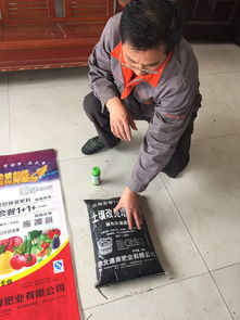 河北商贸学校